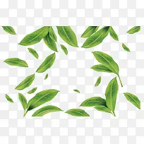 绿色夏季茶叶花纹