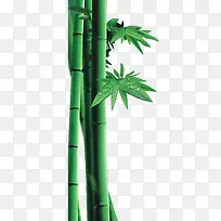 绿色竹子装饰图案