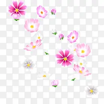 飞舞的紫色花朵