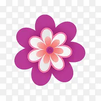规则六角形紫红色小花