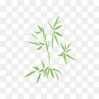 简单清新的绿色小竹子