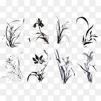 八种兰花水墨画