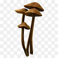 棕色漂亮小蘑菇