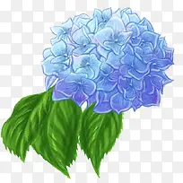 创意手绘水彩质感蓝色的花球