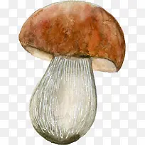 手绘可爱小蘑菇