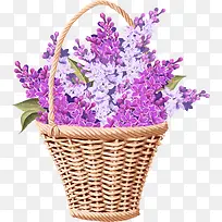 薰衣草花篮
