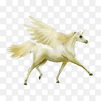 会飞的梦幻神马