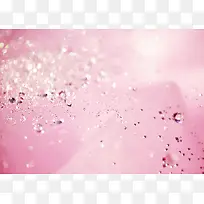 粉色花瓣上的水珠海报