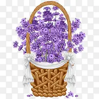 一篮子紫色小花