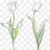 水仙花