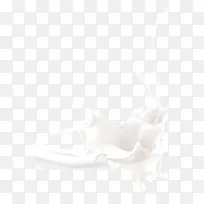 喷溅的白色牛奶