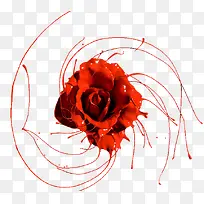 红色液体玫瑰