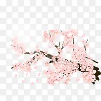 梅花艳丽