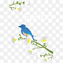 蓝色小鸟白色春花
