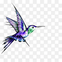 紫色绘画蜂鸟