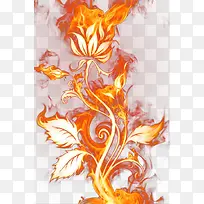 火焰花朵