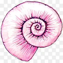 粉色蜗牛壳
