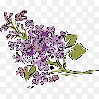 卡通丁香花