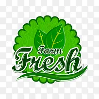 图标设计素材fresh清新绿叶