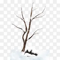 冬天的雪落枯树