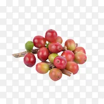 红色成熟的咖啡果实物