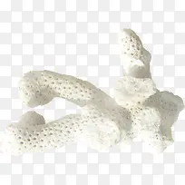 白色珊瑚礁素材