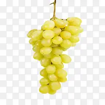 黄色葡萄