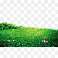 绿色小花草坪边框纹理