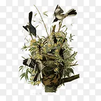 手绘花鸟素材