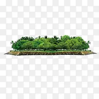绿色植物小岛