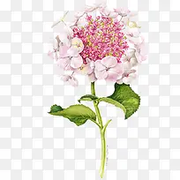 创意手绘红色的花卉丁香花