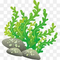 海洋植物舞动的海草