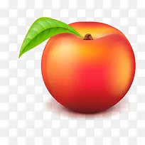 桃子水果设计矢量图