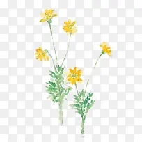 手绘黄色艺术菊花