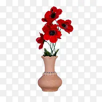 陶瓷花瓶里的红色鲜花