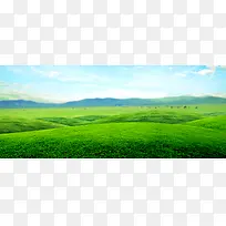 草原，草地，大自然，绿色