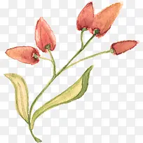 粉红色手绘的植物花朵