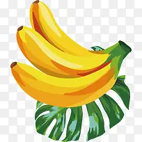 手绘热带水果香蕉素材