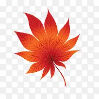 枫叶