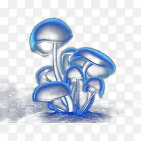 手绘蓝色的蘑菇