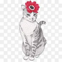 小猫咪头戴大红花