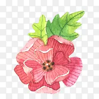 水彩装饰花矢量元素