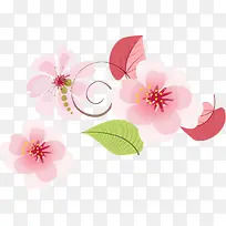 粉色花藤植物