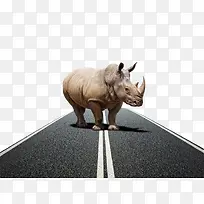 概念图站在公路上的犀牛免扣