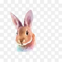 手绘兔子