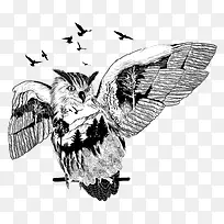 飞翔的猫头鹰素描