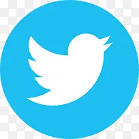 鸟标志社会社交媒体鸣叫推特ic