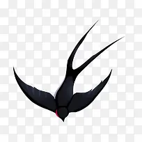 飞翔的黑色燕子PNG下载