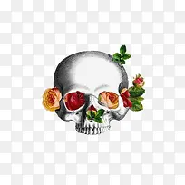 鲜花白骨