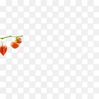 创意元素植物红色辣椒灯笼形状